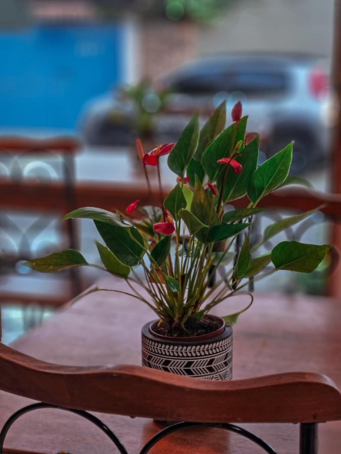 Bliss Hoteis Centro Búzios エクステリア 写真 Anthurium